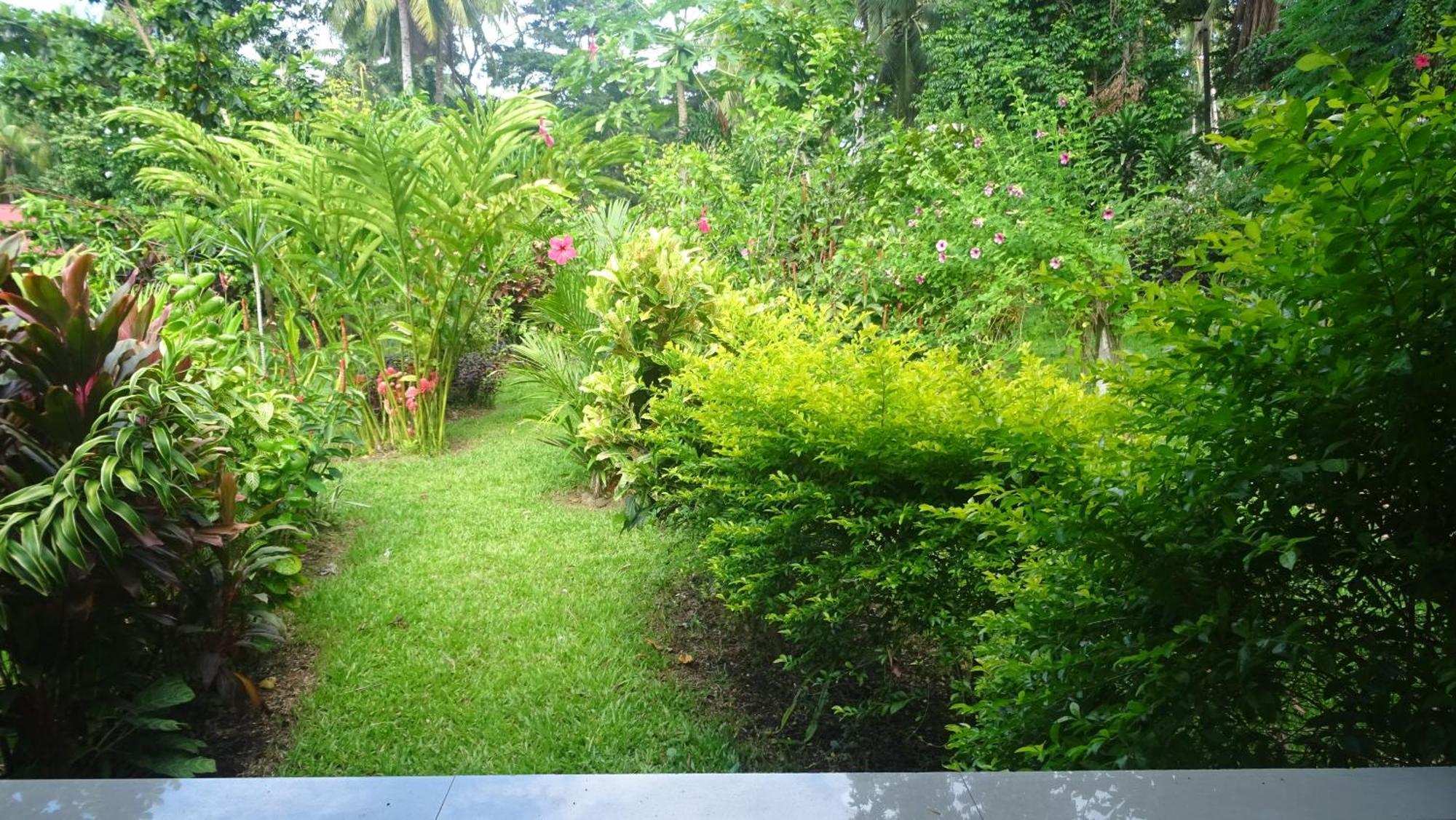 Acacia'S Cottages With Starlink Wifi Mambajao Exterior photo