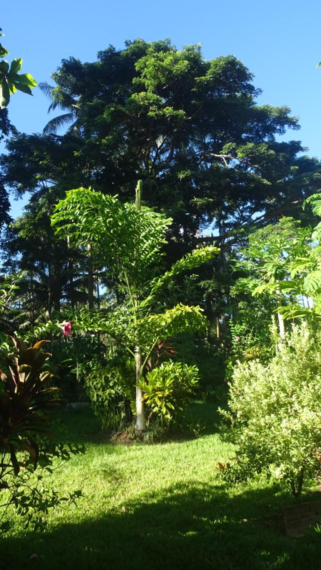 Acacia'S Cottages With Starlink Wifi Mambajao Exterior photo